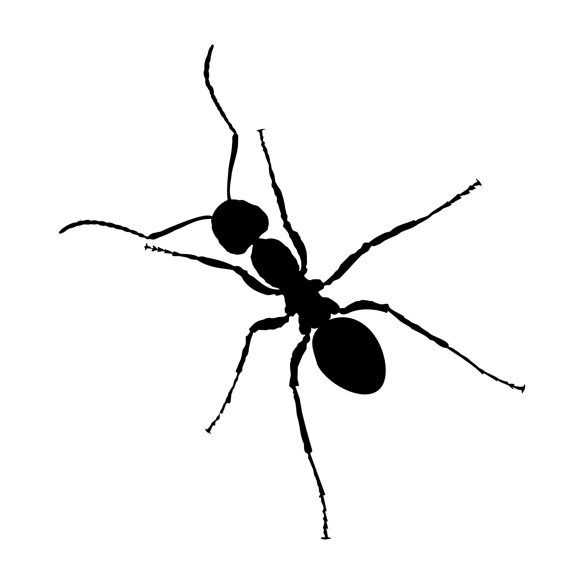 semut