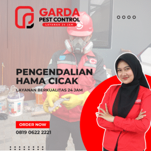 Jasa Pembasmi Cicak Terdekat dan Terkemuka