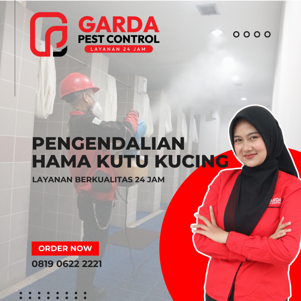 Jasa Basmi Kutu Kucing Terdekat Bergaransi di Semarang