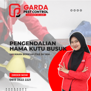 Jasa Pembasmi Kutu Busuk Kutu Kasur Terdekat