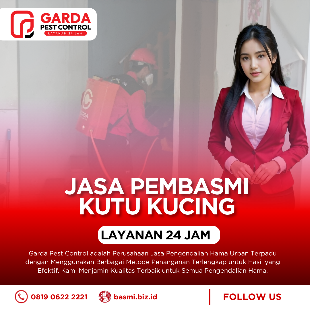 Jasa Basmi Kutu Kucing Terdekat Bergaransi di Bandung